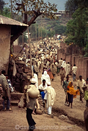 religion;religious;belief;beige;robes;donkey;markets;biblical-scene;historical;historic;people;crowd;Ethiopian