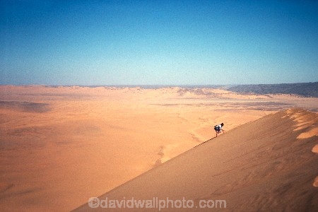 ripple;ripples;shadow;shadows;dune;dunes;deserts;deserted;desolate;desolation;sand_dune;sand_dunes;sand;nature;natural;dry;hot;texture;thirst;silence;vast;vastness;endless;arid;waterless;parched;infertile;barren;global-warming;wilderness;ecosystem;ecosystems;immense;natural-wonder-of-the-world;percon;climbs;hot;overland