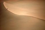 ripple;ripples;shadow;shadows;dune;dunes;desert;deserts;deserted;desolate;desolation;sand_dune;sand_dunes;sand;nature;natural;dry;hot;texture;thirst;silence;vast;vastness;endless;arid;waterless;parched;infertile;barren;global-warming;wilderness;ecosystem;ecosystems;immense;natural-wonder-of-the-world;sahara;saharan;africa;african;algeria;person;climb