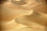 ripple;ripples;shadow;shadows;dune;dunes;desert;deserts;deserted;desolate;desolation;sand_dune;sand_dunes;sand;nature;natural;dry;hot;texture;thirst;silence;vast;vastness;endless;arid;waterless;parched;infertile;barren;global-warming;wilderness;ecosystem;ecosystems;immense;natural-wonder-of-the-world;sahara;saharan;africa;african;algeria