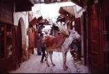 africa;african;africans;north-africa;morocco;moroccan;shop;shops;stall;stalls;market;markets;travel;fez;fes;medina;narrow;alley;alleyway;street;streets;footpath;footpaths;busy;tradition;traditional;culture;cultural;donkey;donkeys;mule;mules;ass;asses