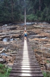 cameroon;camerouns;cameroons;cameroun;bridge;bridges;swing-bridge;rope-bridge;wire-bridge;planks-;cross;river;rivers;long;suspension-bridge;jungle-;rainforest;rain-forest;korup-national-park