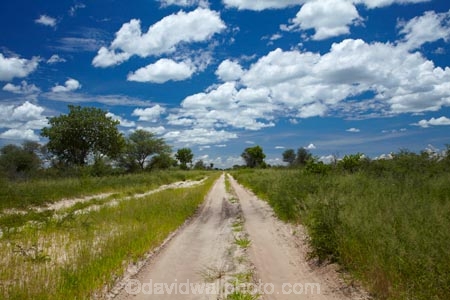 Africa;Botswana;dirt-road;dirt-roads;Dobe-Border;dry_weather-road;earth-road;gravel-road;gravel-roads;metal-road;metal-roads;metalled-road;metalled-roads;Nokaneng;road;roads;sand-road;sand-roads;sandy-road;sandy-roads;Southern-Africa;track;tracks;twin-spoor-bush-track;twin-spoor-bush-tracks;unpaved-road;unpaved-roads