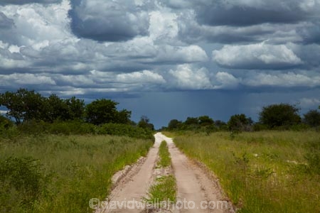 Africa;approaching-storm;approaching-storms;black-cloud;black-clouds;Botswana;cloud;clouds;cloudy;dark-cloud;dark-clouds;dirt-road;dirt-roads;Dobe-Border;dry_weather-road;earth-road;gravel-road;gravel-roads;gray-cloud;gray-clouds;grey-cloud;grey-clouds;metal-road;metal-roads;metalled-road;metalled-roads;Nokaneng;rain-cloud;rain-clouds;rain-storm;rain-storms;road;roads;sand-road;sand-roads;sandy-road;sandy-roads;Southern-Africa;storm;storm-cloud;storm-clouds;storms;thunder-storm;thunder-storms;thunderstorm;thunderstorms;track;tracks;twin-spoor-bush-track;twin-spoor-bush-tracks;unpaved-road;unpaved-roads;weather