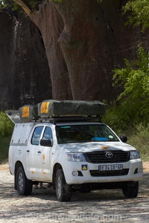 4wd;4wds;4wds;4x4;4x4s;4x4s;Africa;Baines-Baobabs;Baines-Baobabs;Baines-Baobabs;baobab;baobab-tree;baobab-trees;baobabs;Botswana;Bushlore;Bushlore-4x4;Bushlore-4x4-camper;camper;campers;double-cab-hilux;four-by-four;four-by-fours;four-wheel-drive;four-wheel-drives;Hilux;hilux-camper;Hiluxes;Kudiakam-Pan;Makgadikgadi-Pan;Makgadikgadi-Pans;national-park;national-parks;Nxai-Pan-N.P.;Nxai-Pan-National-Park;Nxai-Pan-NP;roof-tent;roof-tents;Southern-Africa;sports-utility-vehicle;sports-utility-vehicles;suv;suvs;Toyota;toyota-camper;Toyota-Hilux;Toyota-Hiluxes;Toyotas;tree;trees;twin-cab-hilux;vehicle;vehicles