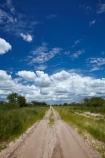Africa;Botswana;dirt-road;dirt-roads;Dobe-Border;dry_weather-road;earth-road;gravel-road;gravel-roads;metal-road;metal-roads;metalled-road;metalled-roads;Nokaneng;road;roads;sand-road;sand-roads;sandy-road;sandy-roads;Southern-Africa;track;tracks;twin-spoor-bush-track;twin-spoor-bush-tracks;unpaved-road;unpaved-roads