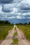 Africa;approaching-storm;approaching-storms;black-cloud;black-clouds;Botswana;cloud;clouds;cloudy;dark-cloud;dark-clouds;dirt-road;dirt-roads;Dobe-Border;dry_weather-road;earth-road;gravel-road;gravel-roads;gray-cloud;gray-clouds;grey-cloud;grey-clouds;metal-road;metal-roads;metalled-road;metalled-roads;Nokaneng;rain-cloud;rain-clouds;rain-storm;rain-storms;road;roads;sand-road;sand-roads;sandy-road;sandy-roads;Southern-Africa;storm;storm-cloud;storm-clouds;storms;thunder-storm;thunder-storms;thunderstorm;thunderstorms;track;tracks;twin-spoor-bush-track;twin-spoor-bush-tracks;unpaved-road;unpaved-roads;weather