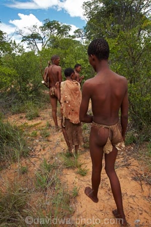 Africa;African;African-bush;bush;Bushman;Bushman-Living-Museum;Bushmanland;Bushmen;cultural;cultural-exchange;culture;forager-society;Grashoek-Living-Museum;Grashoek-village;hunter_gatherer;Hunting-and-gathering;Ju-Hoansi_San-Living-Museum;JuHoansi;JuHoansi_San-people;Living-Museum;Living-Museum-of-the-Ju-Hoansi_San;Living-Museum-of-the-JuHoansi_San;Living-Museums;Namibia;Otjozondjupa-District;Otjozondjupa-Region;people;person;San;San-Living-Museum;San-people;Southern-Africa;tradition;traditional;Traditional-Bushman-Culture;traditional-clothing;traditional-costume;traditional-dress;Traditional-San-Culture;tribe