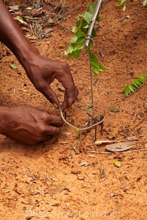 Africa;African;Bushman;Bushman-Living-Museum;Bushmanland;Bushmen;cultural;cultural-exchange;culture;forager-society;Grashoek-Living-Museum;Grashoek-village;hunter_gatherer;Hunting-and-gathering;Ju-Hoansi_San-Living-Museum;JuHoansi;JuHoansi_San-people;Living-Museum;Living-Museum-of-the-Ju-Hoansi_San;Living-Museum-of-the-JuHoansi_San;Living-Museums;Namibia;Otjozondjupa-District;Otjozondjupa-Region;people;person;San;San-Living-Museum;San-people;snare;snare-trap;snare-traps;snare_trap;snare_traps;snares;Southern-Africa;tradition;traditional;Traditional-Bushman-Culture;Traditional-San-Culture;trap;traps;tribe