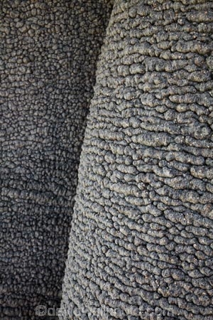 Adansonia-digitata;Africa;Baobab;baobab-tree;baobab-trees;baobab-trunk;Baobabs;bark;Bucks-Rest-Camp;cream-of-tartar-tree.;monkey_bread-tree;Namibia;Nyae-Nyae-Conservancy;Otjozondjupa-District;Otjozondjupa-Region;pattern;patterns;Raleigh-International;Southern-Africa;texture;textures;tree;tree-trunk;tree-trunks;trees;trunk;trunks;Tsumkwe;upside_down-tree