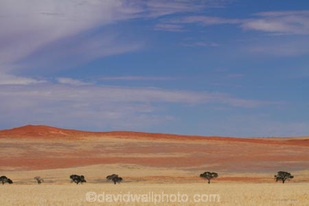 707-road;Africa;D707-road;desert;deserts;dry;dune;dunes;Namib-Desert;Namibia;sand-dune;sand-dunes;Southern-Africa;Southern-Namiba