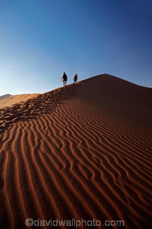 Africa;arid;big-dunes;children;Dead-vlei;Deadvlei;desert;deserts;dry;dune;dunes;families;family;family-holiday;family-holidays;giant-dune;giant-dunes;giant-sand-dune;giant-sand-dunes;holiday;holidays;hot;huge-dunes;large-dunes;Namib-Desert;Namib-Naukluft-N.P.;Namib-Naukluft-National-Park;Namib-Naukluft-NP;Namib_Naukluft-N.P.;Namib_Naukluft-National-Park;Namib_Naukluft-NP;Namibia;national-park;national-parks;natural;orange-sand;people;person;remote;remoteness;reserve;reserves;sand;sand-dune;sand-dunes;sand-hill;sand-hills;sand_dune;sand_dunes;sand_hill;sand_hills;sanddune;sanddunes;sandhill;sandhills;sandy;Sossusvlei;Southern-Africa;tourism;tourist;tourists;wilderness