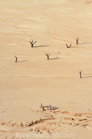 900-year-old-trees;adventure;adventurous;Africa;clay-pan;clay-pans;dead-tree;dead-trees;Dead-Vlei;Deadvlei;desert;deserts;dry-lake;dry-lake-bed;dry-lake-beds;dry-lakes;lake-bed;mammal;Namib-Desert;Namib-Naukluft-N.P.;Namib-Naukluft-National-Park;Namib-Naukluft-NP;Namib_Naukluft-N.P.;Namib_Naukluft-National-Park;Namib_Naukluft-NP;Namibia;national-park;national-parks;pan;people;person;reserve;reserves;salt-pan;salt-pans;Sossusvlei;Southern-Africa;tourism;tourist;tourists;tree-trunk;tree-trunks;vlei;white-clay-pan;white-pan