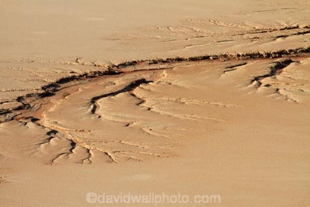 Africa;clay-pan;clay-pans;Dead-Vlei;Deadvlei;desert;deserts;dry-lake;dry-lake-bed;dry-lake-beds;dry-lakes;eroded;erosion;lake-bed;Namib-Desert;Namib-Naukluft-N.P.;Namib-Naukluft-National-Park;Namib-Naukluft-NP;Namib_Naukluft-N.P.;Namib_Naukluft-National-Park;Namib_Naukluft-NP;Namibia;national-park;national-parks;pan;reserve;reserves;salt-pan;salt-pans;Sossusvlei;Southern-Africa;vlei;white-clay-pan
