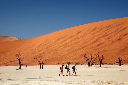 900-year-old-trees;adventure;adventurous;Africa;arid;big-dunes;children;clay-pan;clay-pans;dead-tree;dead-trees;Dead-Vlei;Deadvlei;desert;deserts;dry;dry-lake;dry-lake-bed;dry-lake-beds;dry-lakes;dune;dunes;families;family;family-holiday;family-holidays;giant-dune;giant-dunes;giant-sand-dune;giant-sand-dunes;holiday;holidays;hot;huge-dunes;lake-bed;large-dunes;Namib-Desert;Namib-Naukluft-N.P.;Namib-Naukluft-National-Park;Namib-Naukluft-NP;Namib_Naukluft-N.P.;Namib_Naukluft-National-Park;Namib_Naukluft-NP;Namibia;national-park;national-parks;natural;orange-sand;pan;people;person;remote;remoteness;reserve;reserves;salt-pan;salt-pans;sand;sand-dune;sand-dunes;sand-hill;sand-hills;sand_dune;sand_dunes;sand_hill;sand_hills;sanddune;sanddunes;sandhill;sandhills;sandy;Sossusvlei;Southern-Africa;tourism;tourist;tourists;tree-trunk;tree-trunks;vlei;white-clay-pan;wilderness