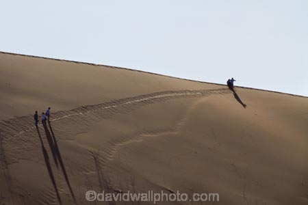 Africa;arid;big-dunes;Dead-vlei;Deadvlei;desert;deserts;dry;dune;dunes;giant-dune;giant-dunes;giant-sand-dune;giant-sand-dunes;hot;huge-dunes;large-dunes;Namib-Desert;Namib-Naukluft-N.P.;Namib-Naukluft-National-Park;Namib-Naukluft-NP;Namib_Naukluft-N.P.;Namib_Naukluft-National-Park;Namib_Naukluft-NP;Namibia;national-park;national-parks;natural;people;person;remote;remoteness;reserve;reserves;sand;sand-dune;sand-dunes;sand-hill;sand-hills;sand_dune;sand_dunes;sand_hill;sand_hills;sanddune;sanddunes;sandhill;sandhills;sandy;Sossusvlei;Southern-Africa;tourism;tourist;tourists;wilderness
