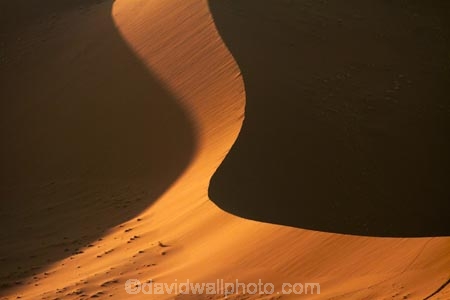 Africa;arid;big-dunes;curve;curves;desert;deserts;dry;dune;dunes;giant-dune;giant-dunes;giant-sand-dune;giant-sand-dunes;hot;huge-dunes;large-dunes;Namib-Desert;Namib-Naukluft-N.P.;Namib-Naukluft-National-Park;Namib-Naukluft-NP;Namib_Naukluft-N.P.;Namib_Naukluft-National-Park;Namib_Naukluft-NP;Namibia;national-park;national-parks;natural;orange-sand;remote;remoteness;reserve;reserves;sand;sand-dune;sand-dunes;sand-hill;sand-hills;sand_dune;sand_dunes;sand_hill;sand_hills;sanddune;sanddunes;sandhill;sandhills;sandy;Southern-Africa;wilderness
