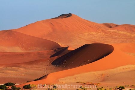 Africa;arid;big-dunes;desert;deserts;dry;dune;dunes;giant-dune;giant-dunes;giant-sand-dune;giant-sand-dunes;hot;huge-dunes;large-dunes;Namib-Desert;Namib-Naukluft-N.P.;Namib-Naukluft-National-Park;Namib-Naukluft-NP;Namib_Naukluft-N.P.;Namib_Naukluft-National-Park;Namib_Naukluft-NP;Namibia;national-park;national-parks;natural;orange-sand;people;person;remote;remoteness;reserve;reserves;sand;sand-dune;sand-dunes;sand-hill;sand-hills;sand_dune;sand_dunes;sand_hill;sand_hills;sanddune;sanddunes;sandhill;sandhills;sandy;Sossusvlei;Southern-Africa;tourism;tourist;tourists;wilderness