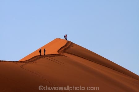 Africa;arid;big-dunes;Dead-vlei;Deadvlei;desert;deserts;dry;dune;dunes;giant-dune;giant-dunes;giant-sand-dune;giant-sand-dunes;hot;huge-dunes;large-dunes;Namib-Desert;Namib-Naukluft-N.P.;Namib-Naukluft-National-Park;Namib-Naukluft-NP;Namib_Naukluft-N.P.;Namib_Naukluft-National-Park;Namib_Naukluft-NP;Namibia;national-park;national-parks;natural;orange-sand;people;person;remote;remoteness;reserve;reserves;sand;sand-dune;sand-dunes;sand-hill;sand-hills;sand_dune;sand_dunes;sand_hill;sand_hills;sanddune;sanddunes;sandhill;sandhills;sandy;Sossusvlei;Southern-Africa;tourism;tourist;tourists;wilderness