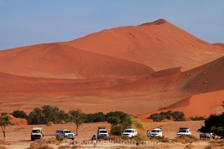 4wd;4wds;4wds;4x4;4x4s;4x4s;Africa;arid;big-dunes;Bushlore;Bushlore-4x4;Bushlore-4x4-camper;camper;campers;Dead-vlei;Deadvlei;desert;deserts;double-cab-hilux;dry;dune;dunes;four-by-four;four-by-fours;four-wheel-drive;four-wheel-drives;giant-dune;giant-dunes;giant-sand-dune;giant-sand-dunes;Hilux;hilux-camper;Hiluxes;hot;huge-dunes;large-dunes;Namib-Desert;Namib-Naukluft-N.P.;Namib-Naukluft-National-Park;Namib-Naukluft-NP;Namib_Naukluft-N.P.;Namib_Naukluft-National-Park;Namib_Naukluft-NP;Namibia;national-park;national-parks;natural;orange-sand;remote;remoteness;reserve;reserves;roof-tent;roof-tents;sand;sand-dune;sand-dunes;sand-hill;sand-hills;sand_dune;sand_dunes;sand_hill;sand_hills;sanddune;sanddunes;sandhill;sandhills;sandy;Sossusvlei;Southern-Africa;sports-utility-vehicle;sports-utility-vehicles;suv;suvs;Toyota;toyota-camper;Toyota-Hilux;Toyota-Hiluxes;Toyotas;twin-cab-hilux;vehicle;vehicles;wilderness