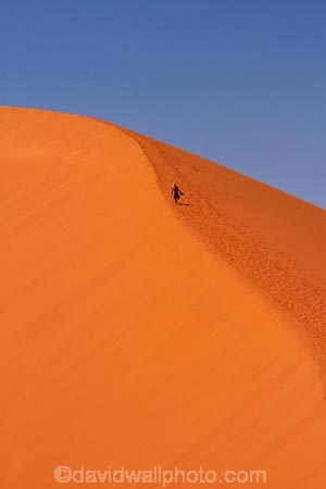 adventure;adventurous;Africa;arid;big-dunes;desert;deserts;dry;dune;Dune-45;Dune-Forty-Five;dunes;giant-dune;giant-dunes;giant-sand-dune;giant-sand-dunes;hot;huge-dunes;large-dunes;Namib-Desert;Namib-Naukluft-N.P.;Namib-Naukluft-National-Park;Namib-Naukluft-NP;Namib_Naukluft-N.P.;Namib_Naukluft-National-Park;Namib_Naukluft-NP;Namibia;national-park;national-parks;natural;orange-sand;people;person;remote;remoteness;reserve;reserves;sand;sand-dune;sand-dunes;sand-hill;sand-hills;sand_dune;sand_dunes;sand_hill;sand_hills;sanddune;sanddunes;sandhill;sandhills;sandy;Southern-Africa;tourism;tourist;tourists;wilderness