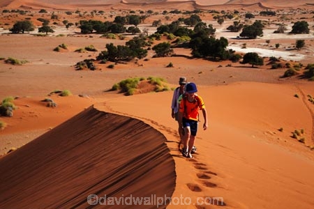 Africa;arid;big-dunes;children;desert;deserts;dry;dune;dunes;families;family;family-holiday;family-holidays;giant-dune;giant-dunes;giant-sand-dune;giant-sand-dunes;holiday;holidays;hot;huge-dunes;large-dunes;Namib-Desert;Namib-Naukluft-N.P.;Namib-Naukluft-National-Park;Namib-Naukluft-NP;Namib_Naukluft-N.P.;Namib_Naukluft-National-Park;Namib_Naukluft-NP;Namibia;national-park;national-parks;natural;orange-sand;people;person;remote;remoteness;reserve;reserves;sand;sand-dune;sand-dunes;sand-hill;sand-hills;sand_dune;sand_dunes;sand_hill;sand_hills;sanddune;sanddunes;sandhill;sandhills;sandy;Sossusvlei;Southern-Africa;tourism;tourist;tourists;wilderness