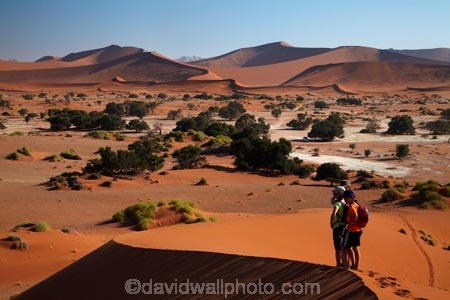 Africa;arid;big-dunes;children;desert;deserts;dry;dune;dunes;families;family;family-holiday;family-holidays;giant-dune;giant-dunes;giant-sand-dune;giant-sand-dunes;holiday;holidays;hot;huge-dunes;large-dunes;Namib-Desert;Namib-Naukluft-N.P.;Namib-Naukluft-National-Park;Namib-Naukluft-NP;Namib_Naukluft-N.P.;Namib_Naukluft-National-Park;Namib_Naukluft-NP;Namibia;national-park;national-parks;natural;orange-sand;people;person;remote;remoteness;reserve;reserves;sand;sand-dune;sand-dunes;sand-hill;sand-hills;sand_dune;sand_dunes;sand_hill;sand_hills;sanddune;sanddunes;sandhill;sandhills;sandy;Sossusvlei;Southern-Africa;tourism;tourist;tourists;wilderness