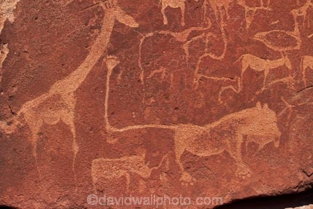 Africa;Ancient-art;ancient-rock-drawings;ancient-rock-etching;ancient-rock-etchings;Bushman-rock-art;Bushman-rock-engravings;Bushman-rock-etchings;Damaraland;giraffe;giraffes;heritage;historic;Historic-Art;historic-place;historic-places;historical;Kunene-District;Kunene-Region;Namib-Desert;Namibia;rock-art;rock-art-painting;rock-art-paintings;rock-drawing;rock-drawings;rock-engraving;rock-engravings;rock-etching;rock-etchings;rock-painting;rock-paintings;San-rock-art;San-rock-etchings;Southern-Africa;tradition;traditional;Twyfelfontein;Twyfelfontein-Rock-Engravings;UN-world-heritage-area;UN-world-heritage-site;UNESCO-World-Heritage-area;UNESCO-World-Heritage-Site;united-nations-world-heritage-area;united-nations-world-heritage-site;world-heritage;world-heritage-area;world-heritage-areas;World-Heritage-Park;World-Heritage-site;World-Heritage-Sites