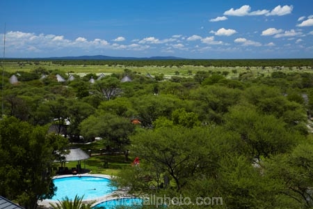 Africa;Etosha-N.P.;Etosha-National-Park;Etosha-NP;game-park;game-parks;game-reserve;game-reserves;Namibia;national-park;national-parks;Okaukuejo;Okaukuejo-Camp;Okaukuejo-Rest-Camp;people;person;pool;pools;Southern-Africa;swim;swimmer;swimmers;swimming-pool;swimming-pools;wildlife-park;wildlife-parks;wildlife-reserve;wildlife-reserves