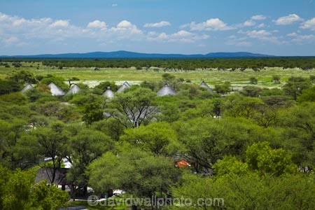 Africa;Etosha-N.P.;Etosha-National-Park;Etosha-NP;game-park;game-parks;game-reserve;game-reserves;Namibia;national-park;national-parks;Okaukuejo;Okaukuejo-Camp;Okaukuejo-Rest-Camp;Southern-Africa;wildlife-park;wildlife-parks;wildlife-reserve;wildlife-reserves
