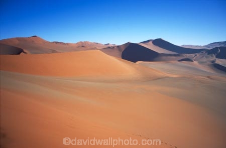 Sossusvlei;Namib_Naukluft-National-Park;national-park;Namibia;Southern-Africa;Africa;African;plain;plains;landscape;sand;sand_dune;sand_dunes;sand-dune;sand-dunes;dune;dunes;sparse;empty;desert;deserts;deserted;africa;african;wilderness;sandy;vast;barren;desolate;desolation;solitude;solitary;dried;dry;outdoor;outdoors;outside;surface;surfaces;slope;arid