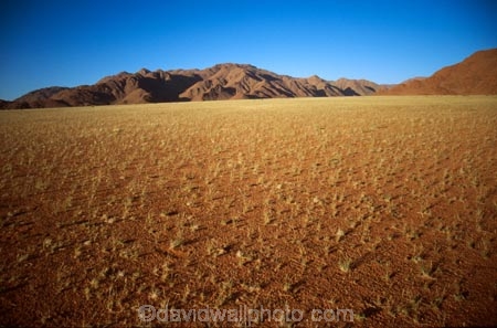 plain;plains;landscape;landscapes;sparse;empty;desert;deserts;deserted;africa;african;wilderness;vast;barren;desolate;desolation;dried;dry;arid;land;ground;outdoor;outdoors;outside;surface;surfaces;growth;growing;grassy;namib;namibia;southern-africa