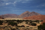 707-road;acacia-tree;acacia-trees;Africa;D707-road;geological;geology;hill;hills;Koiimasis;mountain;mountains;Namib-Desert;Namibia;Ranch-Koiimasis;rock;rock-formation;rock-formations;rock-outcrop;rock-outcrops;rock-tor;rock-torr;rock-torrs;rock-tors;rocks;Southern-Africa;stone;Tiras-Mountains;Tiras-Mountains-Conservancy;unusual-natural-feature;unusual-natural-features