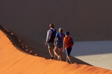 adventure;adventurous;Africa;arid;big-dunes;children;Dead-vlei;Deadvlei;desert;deserts;dry;dune;dunes;families;family;family-holiday;family-holidays;giant-dune;giant-dunes;giant-sand-dune;giant-sand-dunes;holiday;holidays;hot;huge-dunes;large-dunes;Namib-Desert;Namib-Naukluft-N.P.;Namib-Naukluft-National-Park;Namib-Naukluft-NP;Namib_Naukluft-N.P.;Namib_Naukluft-National-Park;Namib_Naukluft-NP;Namibia;national-park;national-parks;natural;orange-sand;people;person;remote;remoteness;reserve;reserves;sand;sand-dune;sand-dunes;sand-hill;sand-hills;sand_dune;sand_dunes;sand_hill;sand_hills;sanddune;sanddunes;sandhill;sandhills;sandy;Sossusvlei;Southern-Africa;tourism;tourist;tourists;wilderness