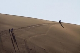 Africa;arid;big-dunes;Dead-vlei;Deadvlei;desert;deserts;dry;dune;dunes;giant-dune;giant-dunes;giant-sand-dune;giant-sand-dunes;hot;huge-dunes;large-dunes;Namib-Desert;Namib-Naukluft-N.P.;Namib-Naukluft-National-Park;Namib-Naukluft-NP;Namib_Naukluft-N.P.;Namib_Naukluft-National-Park;Namib_Naukluft-NP;Namibia;national-park;national-parks;natural;people;person;remote;remoteness;reserve;reserves;sand;sand-dune;sand-dunes;sand-hill;sand-hills;sand_dune;sand_dunes;sand_hill;sand_hills;sanddune;sanddunes;sandhill;sandhills;sandy;Sossusvlei;Southern-Africa;tourism;tourist;tourists;wilderness