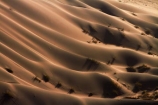 Africa;arid;big-dunes;desert;deserts;dry;dune;dunes;giant-dune;giant-dunes;giant-sand-dune;giant-sand-dunes;hot;huge-dunes;large-dunes;Namib-Desert;Namib-Naukluft-N.P.;Namib-Naukluft-National-Park;Namib-Naukluft-NP;Namib_Naukluft-N.P.;Namib_Naukluft-National-Park;Namib_Naukluft-NP;Namibia;national-park;national-parks;natural;remote;remoteness;reserve;reserves;sand;sand-dune;sand-dunes;sand-hill;sand-hills;sand_dune;sand_dunes;sand_hill;sand_hills;sanddune;sanddunes;sandhill;sandhills;sandy;Southern-Africa;wilderness