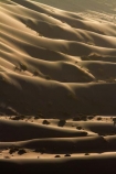 Africa;arid;big-dunes;desert;deserts;dry;dune;dunes;giant-dune;giant-dunes;giant-sand-dune;giant-sand-dunes;hot;huge-dunes;large-dunes;Namib-Desert;Namib-Naukluft-N.P.;Namib-Naukluft-National-Park;Namib-Naukluft-NP;Namib_Naukluft-N.P.;Namib_Naukluft-National-Park;Namib_Naukluft-NP;Namibia;national-park;national-parks;natural;remote;remoteness;reserve;reserves;sand;sand-dune;sand-dunes;sand-hill;sand-hills;sand_dune;sand_dunes;sand_hill;sand_hills;sanddune;sanddunes;sandhill;sandhills;sandy;Southern-Africa;wilderness