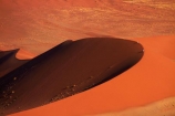 Africa;arid;big-dunes;curve;curves;desert;deserts;dry;dune;dunes;giant-dune;giant-dunes;giant-sand-dune;giant-sand-dunes;hot;huge-dunes;large-dunes;Namib-Desert;Namib-Naukluft-N.P.;Namib-Naukluft-National-Park;Namib-Naukluft-NP;Namib_Naukluft-N.P.;Namib_Naukluft-National-Park;Namib_Naukluft-NP;Namibia;national-park;national-parks;natural;orange-sand;people;person;remote;remoteness;reserve;reserves;sand;sand-dune;sand-dunes;sand-hill;sand-hills;sand_dune;sand_dunes;sand_hill;sand_hills;sanddune;sanddunes;sandhill;sandhills;sandy;Sossusvlei;Southern-Africa;tourism;tourist;tourists;wilderness