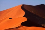 Africa;arid;big-dunes;curve;curves;desert;deserts;dry;dune;dunes;giant-dune;giant-dunes;giant-sand-dune;giant-sand-dunes;hot;huge-dunes;large-dunes;Namib-Desert;Namib-Naukluft-N.P.;Namib-Naukluft-National-Park;Namib-Naukluft-NP;Namib_Naukluft-N.P.;Namib_Naukluft-National-Park;Namib_Naukluft-NP;Namibia;national-park;national-parks;natural;orange-sand;remote;remoteness;reserve;reserves;sand;sand-dune;sand-dunes;sand-hill;sand-hills;sand_dune;sand_dunes;sand_hill;sand_hills;sanddune;sanddunes;sandhill;sandhills;sandy;Southern-Africa;wilderness