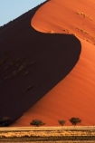 Africa;arid;big-dunes;curve;curves;desert;deserts;dry;dune;dunes;giant-dune;giant-dunes;giant-sand-dune;giant-sand-dunes;hot;huge-dunes;large-dunes;Namib-Desert;Namib-Naukluft-N.P.;Namib-Naukluft-National-Park;Namib-Naukluft-NP;Namib_Naukluft-N.P.;Namib_Naukluft-National-Park;Namib_Naukluft-NP;Namibia;national-park;national-parks;natural;orange-sand;remote;remoteness;reserve;reserves;sand;sand-dune;sand-dunes;sand-hill;sand-hills;sand_dune;sand_dunes;sand_hill;sand_hills;sanddune;sanddunes;sandhill;sandhills;sandy;Southern-Africa;wilderness