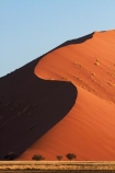 Africa;arid;big-dunes;curve;curves;desert;deserts;dry;dune;dunes;giant-dune;giant-dunes;giant-sand-dune;giant-sand-dunes;hot;huge-dunes;large-dunes;Namib-Desert;Namib-Naukluft-N.P.;Namib-Naukluft-National-Park;Namib-Naukluft-NP;Namib_Naukluft-N.P.;Namib_Naukluft-National-Park;Namib_Naukluft-NP;Namibia;national-park;national-parks;natural;orange-sand;remote;remoteness;reserve;reserves;sand;sand-dune;sand-dunes;sand-hill;sand-hills;sand_dune;sand_dunes;sand_hill;sand_hills;sanddune;sanddunes;sandhill;sandhills;sandy;Southern-Africa;wilderness