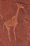 Africa;Ancient-art;ancient-rock-drawings;ancient-rock-etching;ancient-rock-etchings;Bushman-rock-art;Bushman-rock-engravings;Bushman-rock-etchings;Damaraland;giraffe;giraffes;heritage;historic;Historic-Art;historic-place;historic-places;historical;Kunene-District;Kunene-Region;Namib-Desert;Namibia;rock-art;rock-art-painting;rock-art-paintings;rock-drawing;rock-drawings;rock-engraving;rock-engravings;rock-etching;rock-etchings;rock-painting;rock-paintings;San-rock-art;San-rock-etchings;Southern-Africa;tradition;traditional;Twyfelfontein;Twyfelfontein-Rock-Engravings;UN-world-heritage-area;UN-world-heritage-site;UNESCO-World-Heritage-area;UNESCO-World-Heritage-Site;united-nations-world-heritage-area;united-nations-world-heritage-site;world-heritage;world-heritage-area;world-heritage-areas;World-Heritage-Park;World-Heritage-site;World-Heritage-Sites