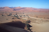 Sossusvlei;Namib_Naukluft-National-Park;national-park;Namibia;Southern-Africa;Africa;African;plain;plains;landscape;sand;sand-dune;sand-dunes;dune;dunes;sparse;empty;desert;deserted;bush;bushes;africa;african;wilderness;sandy;vast;barren;desolate;desolation;dried;dry;outdoor;outdoors;outside;surface;surfaces