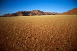 plain;plains;landscape;landscapes;sparse;empty;desert;deserts;deserted;africa;african;wilderness;vast;barren;desolate;desolation;dried;dry;arid;land;ground;outdoor;outdoors;outside;surface;surfaces;growth;growing;grassy;namib;namibia;southern-africa