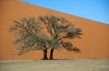 Dune-45;Namib_Naukluft-National-Park;National-Park;Namibia;Southern-Africa;Africa;african;plain;plains;landscape;sand;sand_dune;sand_dunes;sand-dune;sand-dunes;dune;dunes;sparse;empty;desert;deserts;deserted;africa;african;wilderness;sandy;vast;barren;desolate;desolation;solitude;solitary;dried;dry;outdoor;outdoors;outside;surface;surfaces;slope;arid