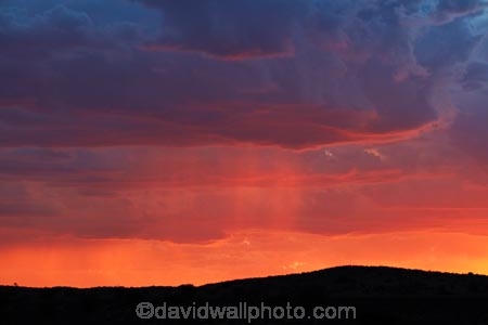 Africa;African;approaching-storm;approaching-storms;black-cloud;black-clouds;Botswana;cloud;clouds;cloudy;dark-cloud;dark-clouds;desert;deserts;downpour;downpours;dusk;evening;Gemsbok-National-Park;gray-cloud;gray-clouds;grey-cloud;grey-clouds;Kalahari-Desert;Kalahari-Gemsbok-N.P.;Kalahari-Gemsbok-National-Park;Kalahari-Gemsbok-NP;Kgalagadi;Kgalagadi-Park;Kgalagadi-Transfrontier-Park;national-park;national-parks;night;night_time;nightfall;orange;park;parks;rain;rain-cloud;rain-clouds;rain-storm;rain-storms;rainy-season;Republic-of-South-Africa;safari;safaris;South-Africa;South-African-Republic;Southern-Africa;storm;storm-cloud;storm-clouds;storms;summer;sunset;sunsets;thunder-storm;thunder-storms;thunderstorm;thunderstorms;twilight;weather;wet-season;wilderness