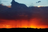 Africa;African;approaching-storm;approaching-storms;black-cloud;black-clouds;Botswana;cloud;clouds;cloudy;dark-cloud;dark-clouds;desert;deserts;downpour;downpours;dusk;evening;Gemsbok-National-Park;gray-cloud;gray-clouds;grey-cloud;grey-clouds;Kalahari-Desert;Kalahari-Gemsbok-N.P.;Kalahari-Gemsbok-National-Park;Kalahari-Gemsbok-NP;Kgalagadi;Kgalagadi-Park;Kgalagadi-Transfrontier-Park;national-park;national-parks;night;night_time;nightfall;orange;park;parks;rain;rain-cloud;rain-clouds;rain-storm;rain-storms;rainy-season;Republic-of-South-Africa;safari;safaris;South-Africa;South-African-Republic;Southern-Africa;storm;storm-cloud;storm-clouds;storms;summer;sunset;sunsets;thunder-storm;thunder-storms;thunderstorm;thunderstorms;twilight;weather;wet-season;wilderness