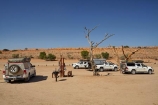 4wd;4wds;4wds;4x4;4x4s;4x4s;Africa;African;Auob-River;Auob-River-Valley;Auob-Valley;Botswana;dead-trees;desert;deserts;four-by-four;four-by-fours;four-wheel-drive;four-wheel-drives;Gemsbok-National-Park;Kalahari-Desert;Kalahari-Gemsbok-N.P.;Kalahari-Gemsbok-National-Park;Kalahari-Gemsbok-NP;Kamqua-Picnic-Site;Kamqua-Picnic-Spot;Kamqua-Picnipicni-Site;Kgalagadi;Kgalagadi-Park;Kgalagadi-Transfrontier-Park;national-park;national-parks;park;parks;picnic-site;picnic-sites;Republic-of-South-Africa;safari;safaris;South-Africa;South-African-Republic;Southern-Africa;sports-utility-vehicle;sports-utility-vehicles;suv;suvs;vehicle;vehicles;wilderness