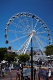 Africa;amusement-ride;amusement-rides;Cape-Town;Cape-Town-Waterfront;Cape-Town-Wheel;Cape-Wheel;Ferris-wheel;Ferris-wheels;landmark;landmarks;observation-wheel;observation-wheels;passenger-capsule;passenger-capsules;passenger-pod;passenger-pods;S.A.;South-Africa;Southern-Africa;spoke;spokes;Sth-Africa;structure;structures;tourism;tourist-attraction;tourist-attractions;tourists;V-amp;-A-Waterfront;V-and-A-Waterfront;Vamp;A-Waterfront;Victoria-amp;-Alfred-Waterfront;Victoria-and-Alfred-Waterfront;Western-Cape;Western-Cape-Province;wheel;Wheel-of-Excellence;wheels