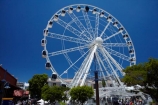 Africa;amusement-ride;amusement-rides;Cape-Town;Cape-Town-Waterfront;Cape-Town-Wheel;Cape-Wheel;Ferris-wheel;Ferris-wheels;landmark;landmarks;observation-wheel;observation-wheels;passenger-capsule;passenger-capsules;passenger-pod;passenger-pods;S.A.;South-Africa;Southern-Africa;spoke;spokes;Sth-Africa;structure;structures;tourism;tourist-attraction;tourist-attractions;V-amp;-A-Waterfront;V-and-A-Waterfront;Vamp;A-Waterfront;Victoria-amp;-Alfred-Waterfront;Victoria-and-Alfred-Waterfront;Western-Cape;Western-Cape-Province;wheel;Wheel-of-Excellence;wheels